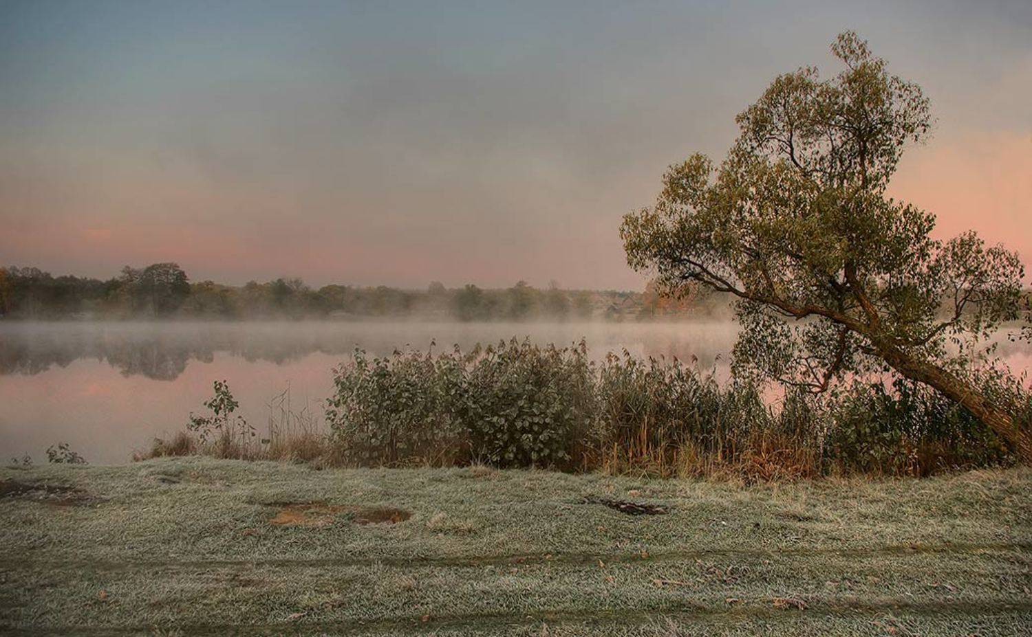 , Вячеслав Довыденков