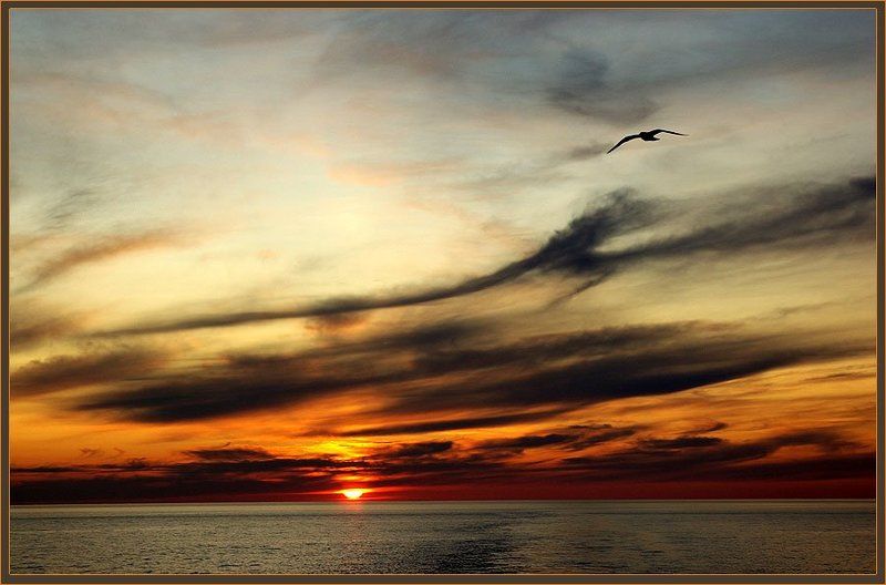 озеро,закат Онежский закат фото превью