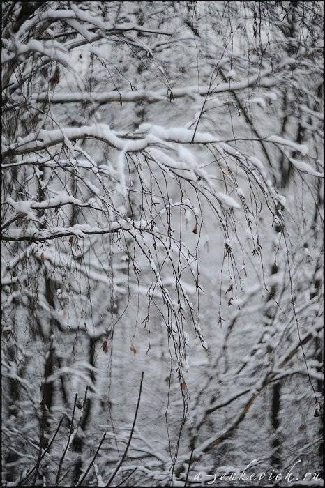 самый, второй, снег, Андрей Сенкевич