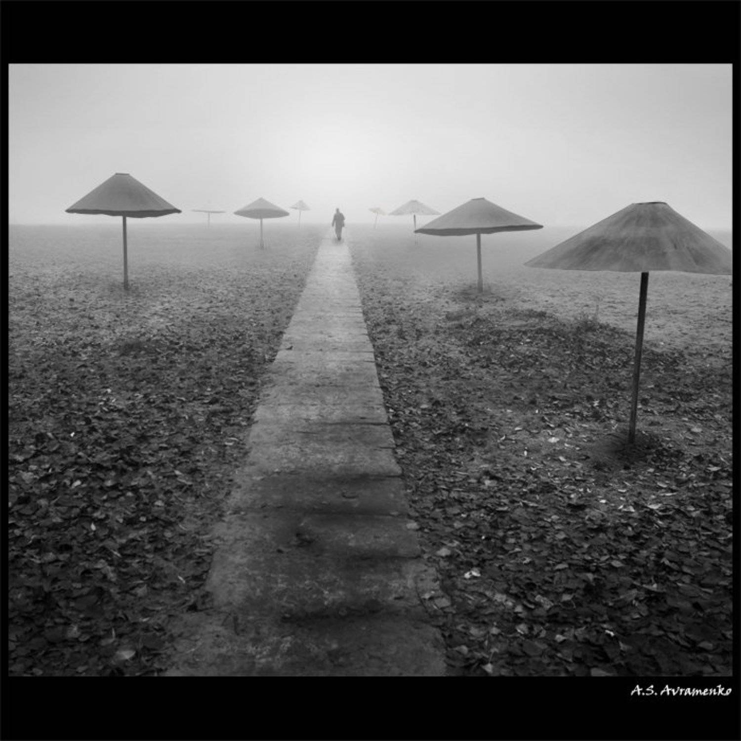 осень, туман, пляж, Анатолий Авраменко