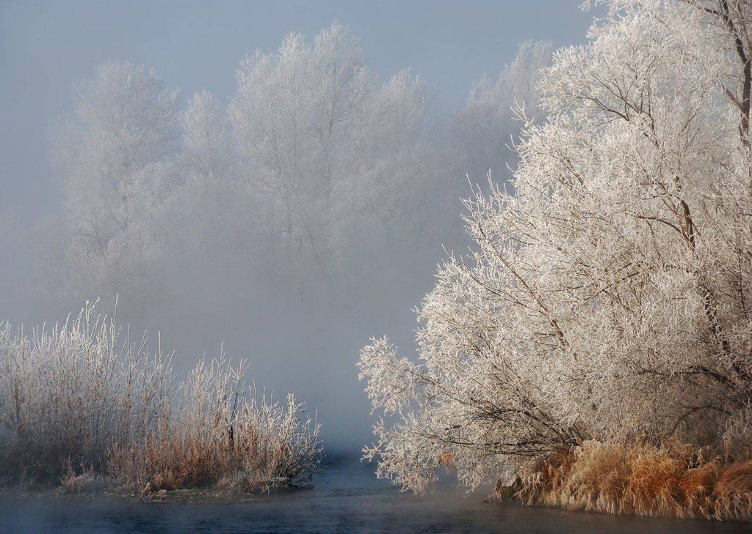 иртыш,иней,мороз, Александр