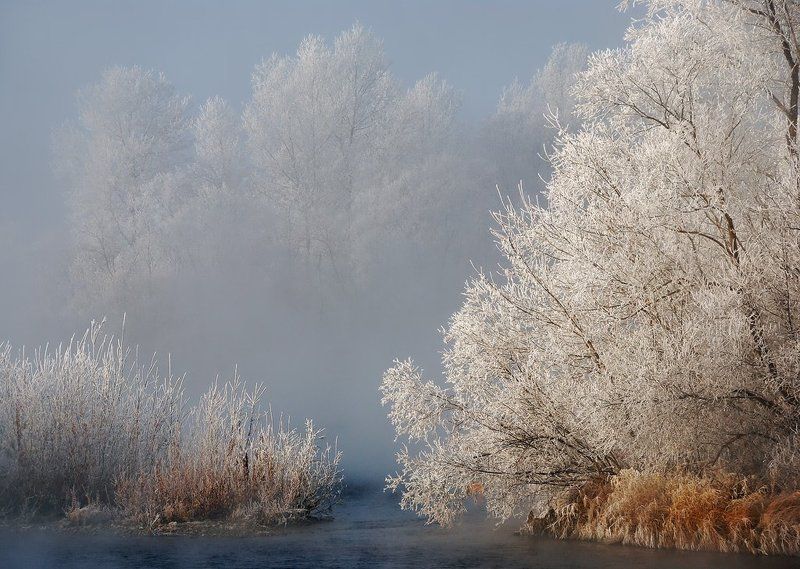 иртыш,иней,мороз Первые заморозки фото превью