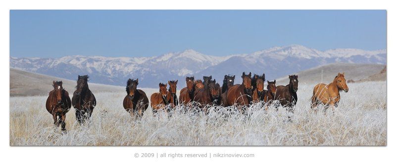 Горцы фото превью