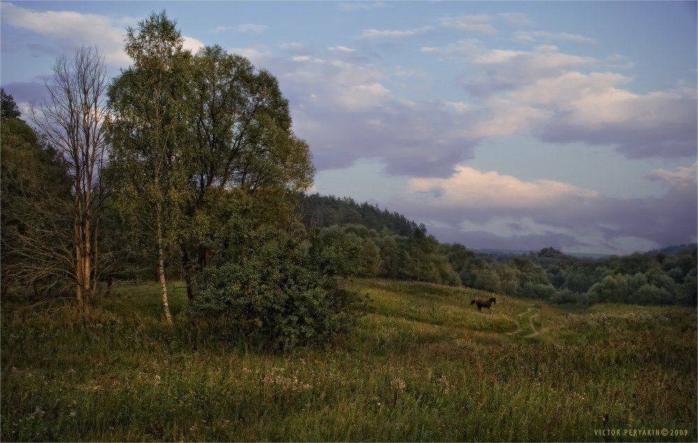 , Виктор Перякин