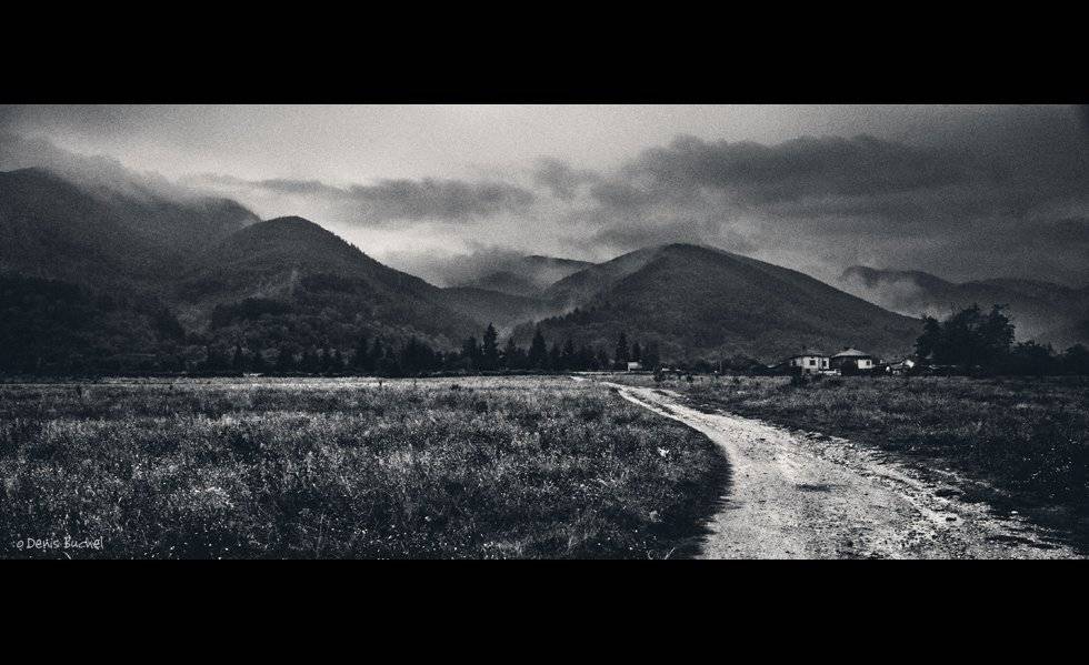 , Denis Buchel