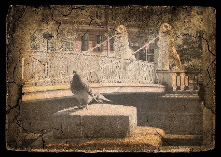 , Лунный Ежик