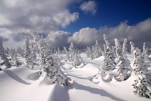 рядом с небом