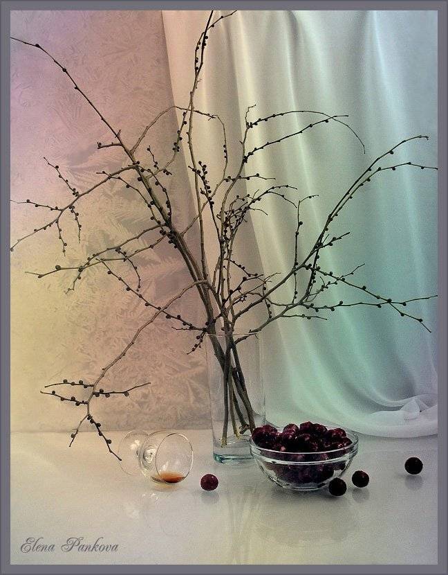 натюрморт, вишня, ветки, зима, Elena Pankova