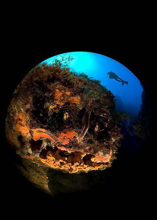 мальта, циркуляр, Сергей Шанин