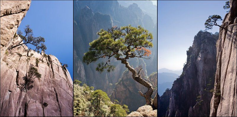 Наскальная жизнь...или воспоминания о горах Хуаншань фото превью