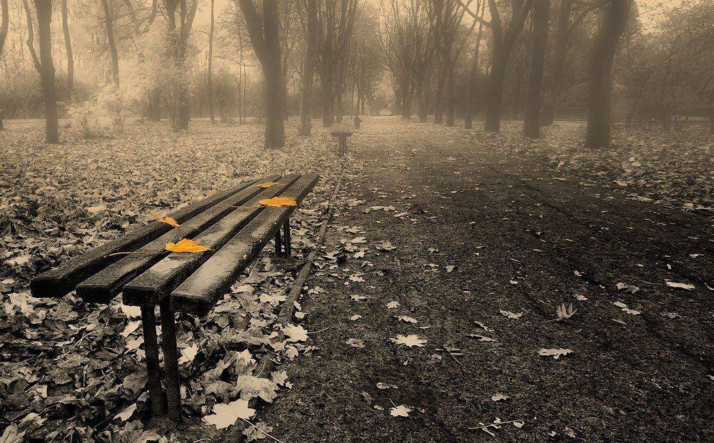 , Sergey Dimchenko