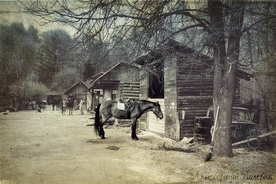 , Лямеборшай Валерия