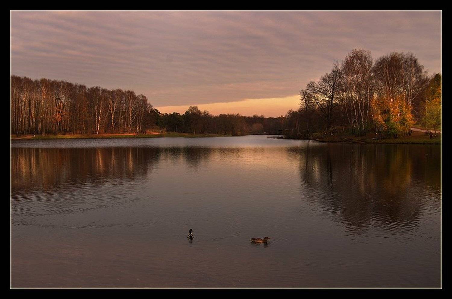 , &bull;**/ASSOL**&bull;