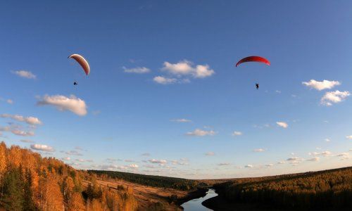 Люди ,они как птицы (5)