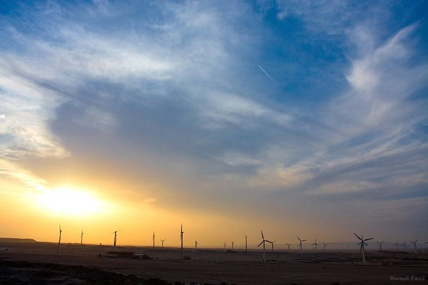 египет, Милый Ёжка