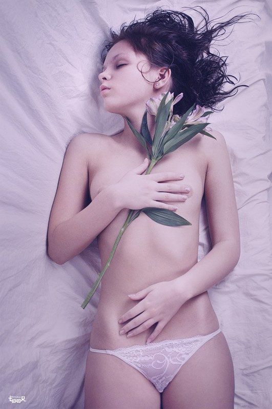 ню Альстромерия фото превью