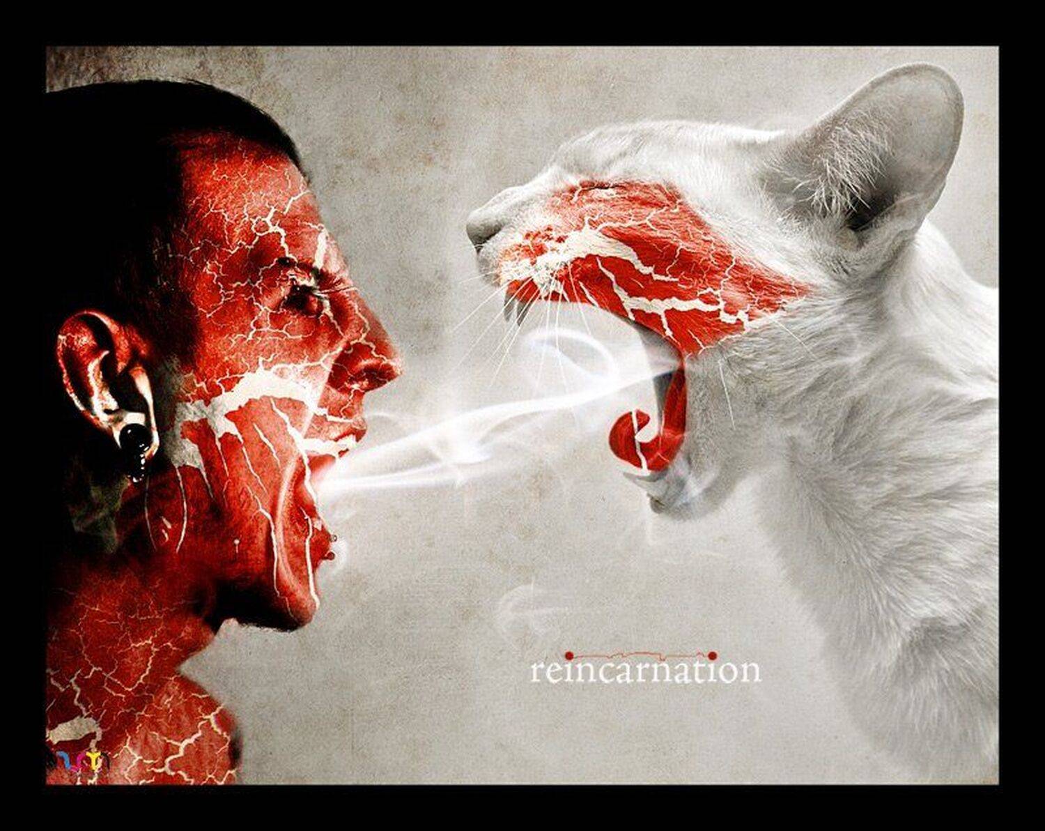 , юлия космос