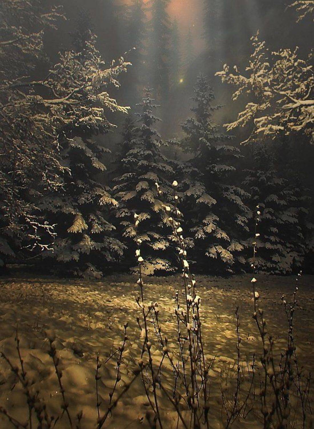 , Алпатов Игорь