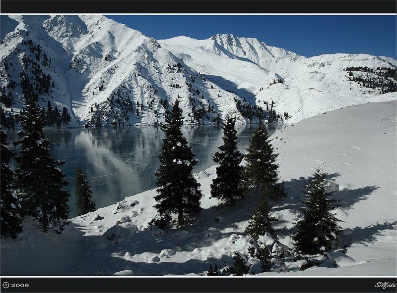природа, озеро, зима, ели. Зимний пейзаж. фото превью