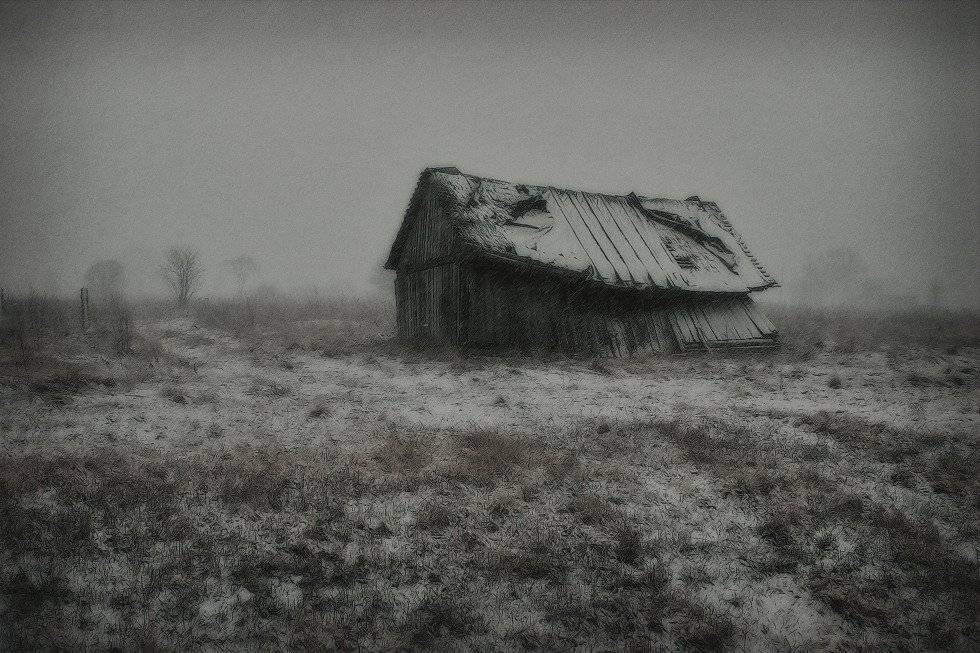 , Владимир Липецких