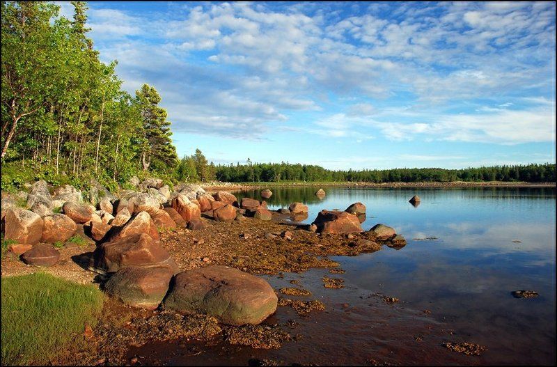 соловки, белая, ночь *** фото превью