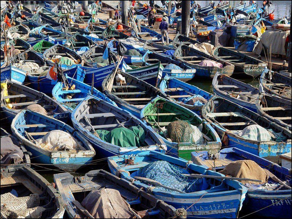 агадир, марокко, порт, лодка, Лодочник