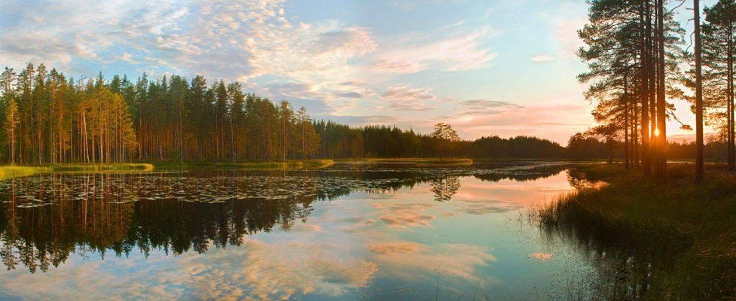 , Олег Яковлев