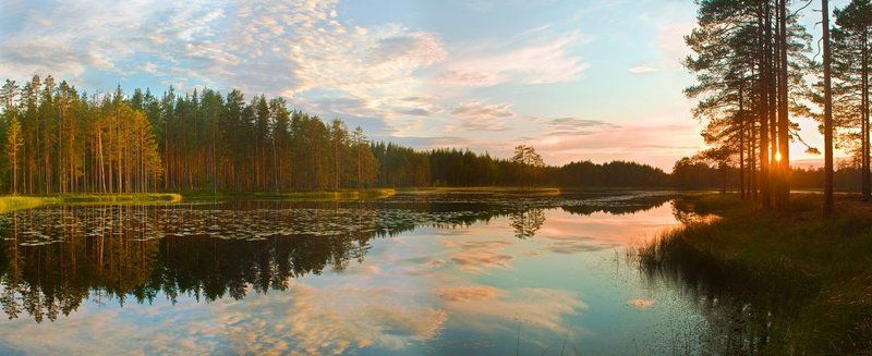на лесном озере фото превью