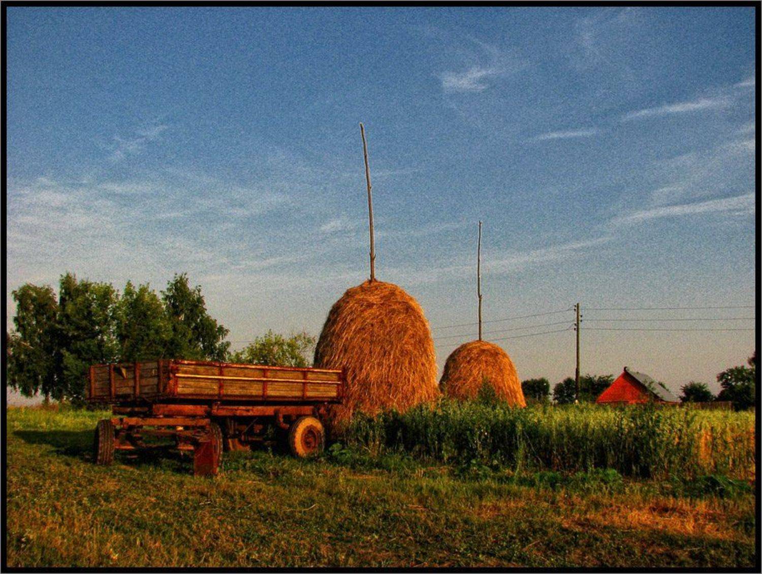 , Лунный Ежик