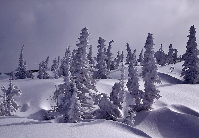в белых барханах фото превью
