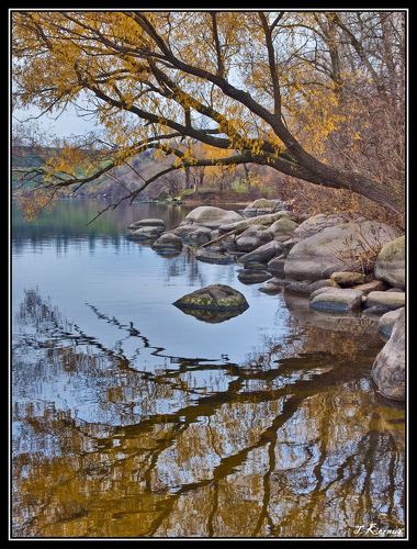 Последний штрих осени