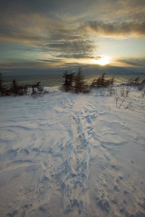 магадан,нюкля, Sir Fisher