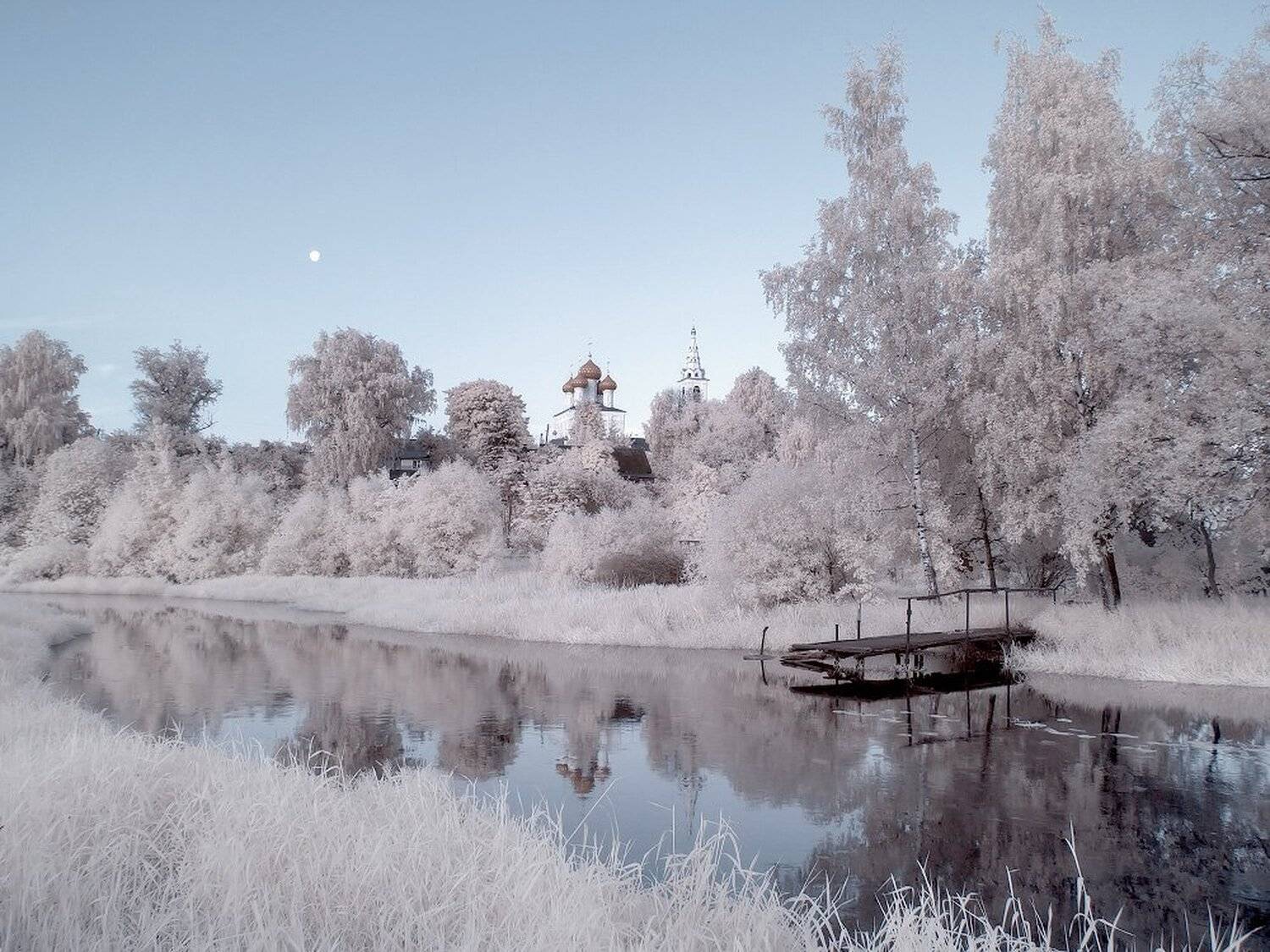 , Максим Евдокимов