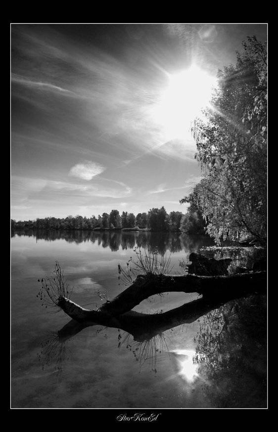 , Константин Стародубцев