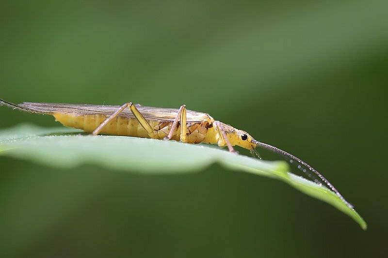 , Виталий Тимкив