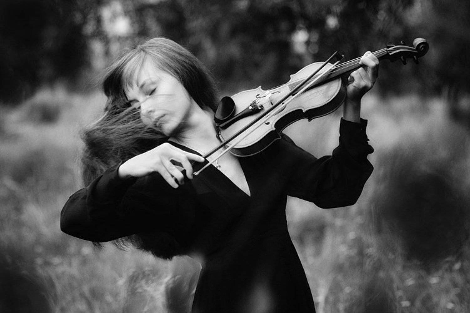 wwwest, Семенов Арсений