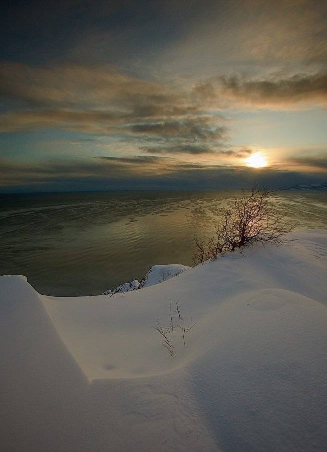 магадан, нюкля, Sir Fisher