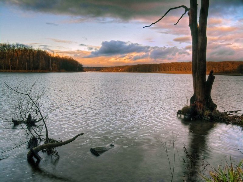 пейзаж, осень, закат, вода *** фото превью