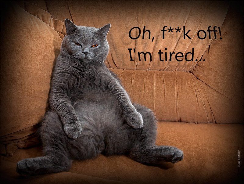 I\'m tired... фото превью