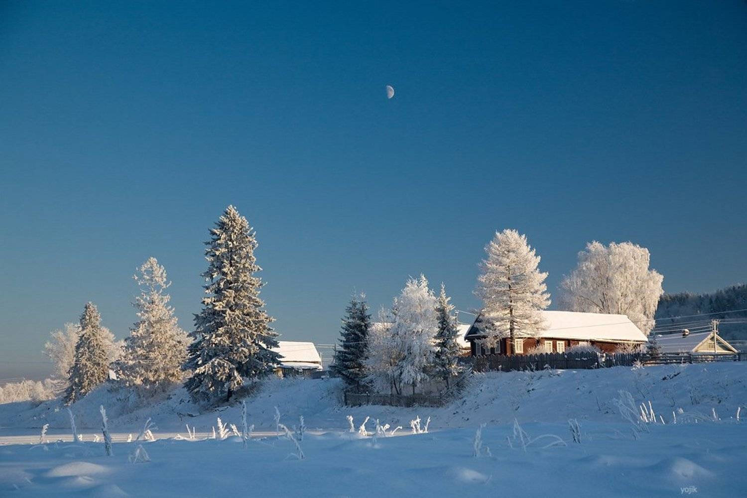 зимняя, сказка, Милый Ёжка