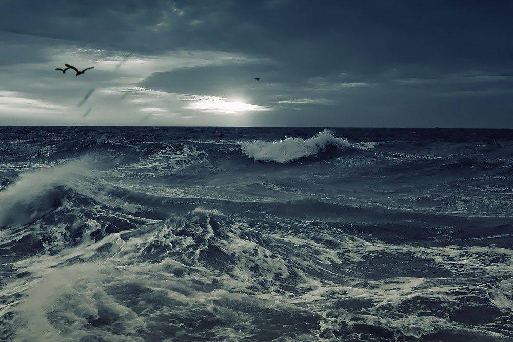 , Sergey Dimchenko
