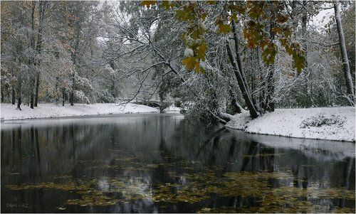 Замерзший парк
