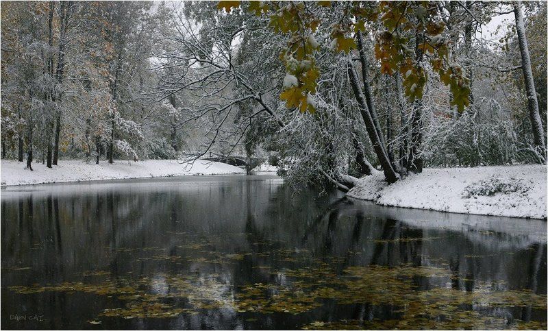 холод, зимний, парк, осень, парк, царское, село, деревья, пруд, листва Замерзший парк фото превью