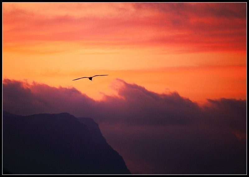 Утром фото превью