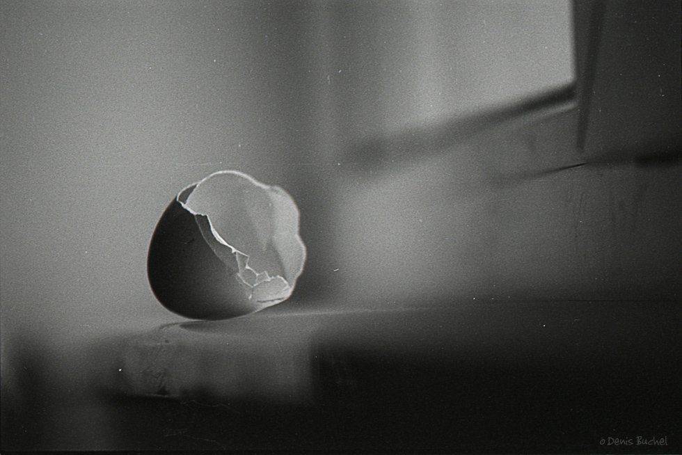 , Denis Buchel
