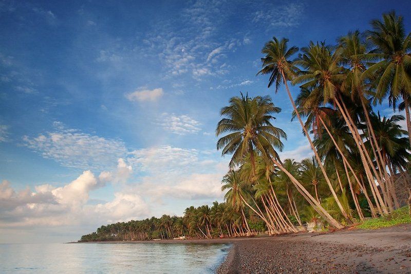 филиппины ...утро фото превью