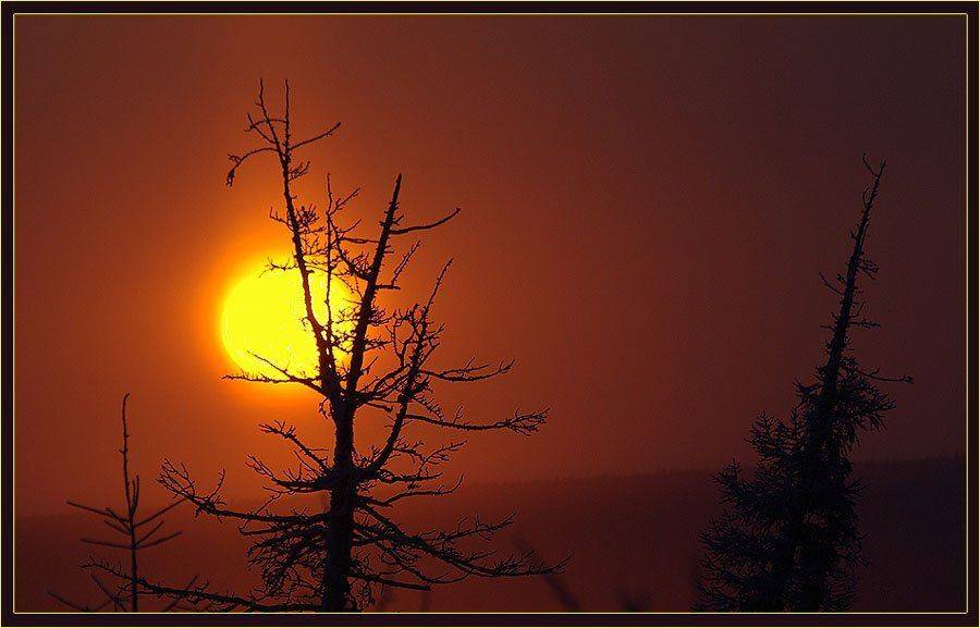 утро, зима, Солодухин Виктор