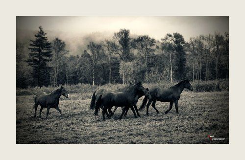 в порядке эксперимента