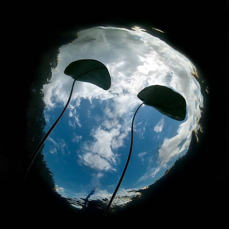 , Сергей Шанин