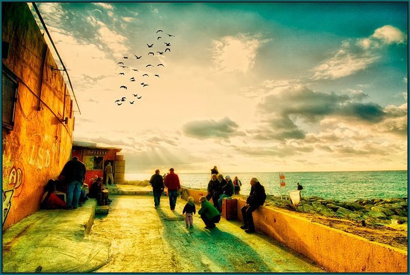 photographer ,alexander ,tolchinskiy Tel-Aviv 5929 фото превью